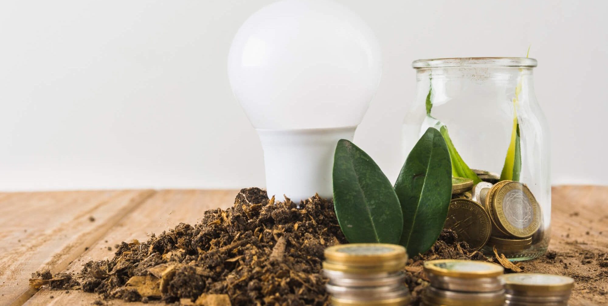 Lâmpada com moedas, plantas e terra para mostrar como poupar na luz, poupar dinheiro e ajudar no ambiente