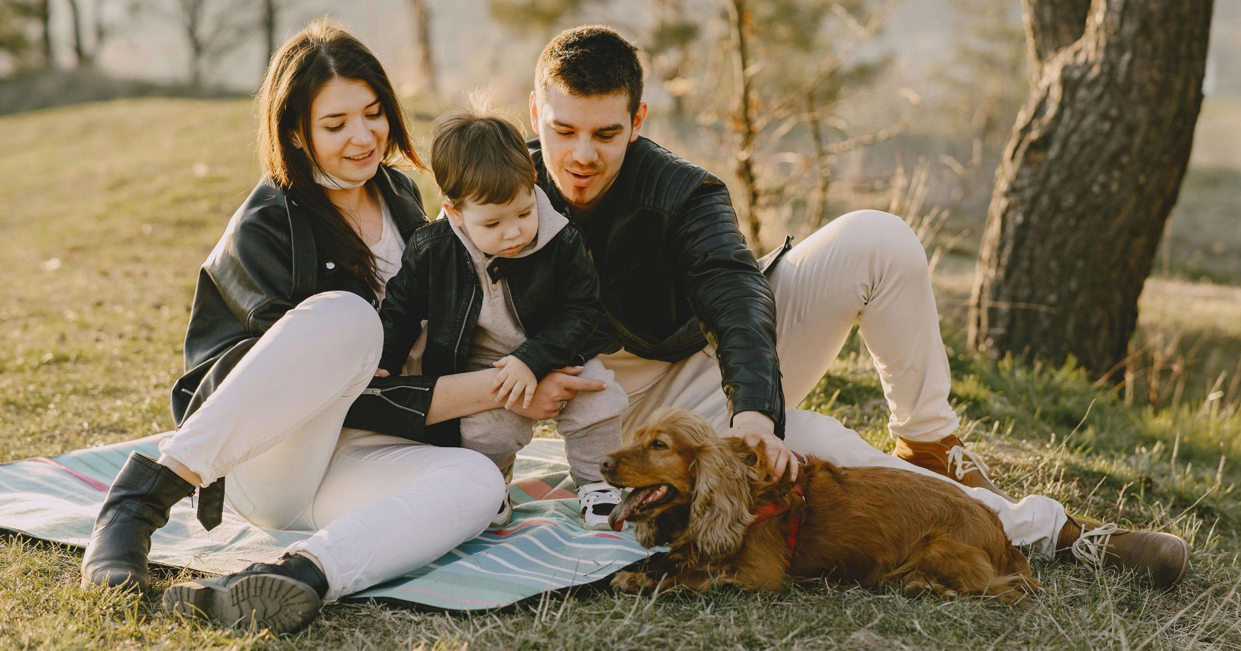 Família a fazer um piquenique com o seu bebé e cão 