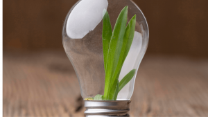 Saiba quais os apoios disponíveis para famílias e empresas, novidades da reprogramação, oportunidades em energia,