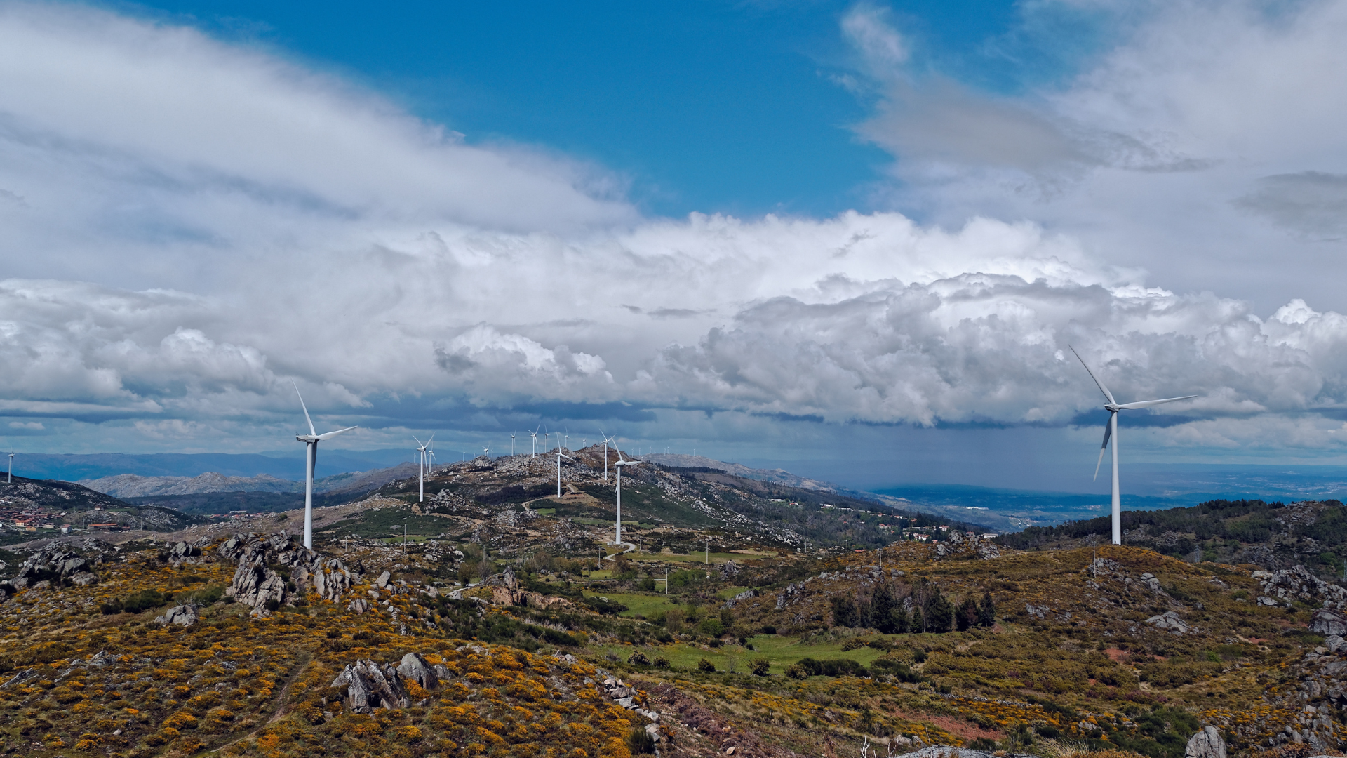 consumo de eletricidade em Portugal a atingir um pico histórico, com ilustração de casas e empresas ligadas à rede elétrica durante um período de frio intenso. 